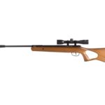 Crosman Benjamin Titan NP (with scope)