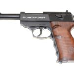 C41 (Borner)<br><br>