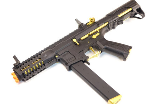 ARP 9 GOLD EDITION G&G - Image 1