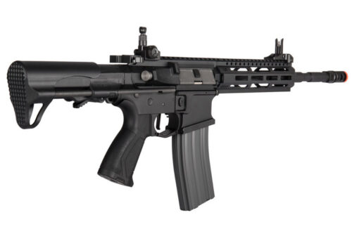 CM16 RAIDER L 2.0E (G&G)