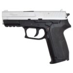 Air Gun Sig Sauer SP2022